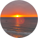 anisdis profile picture